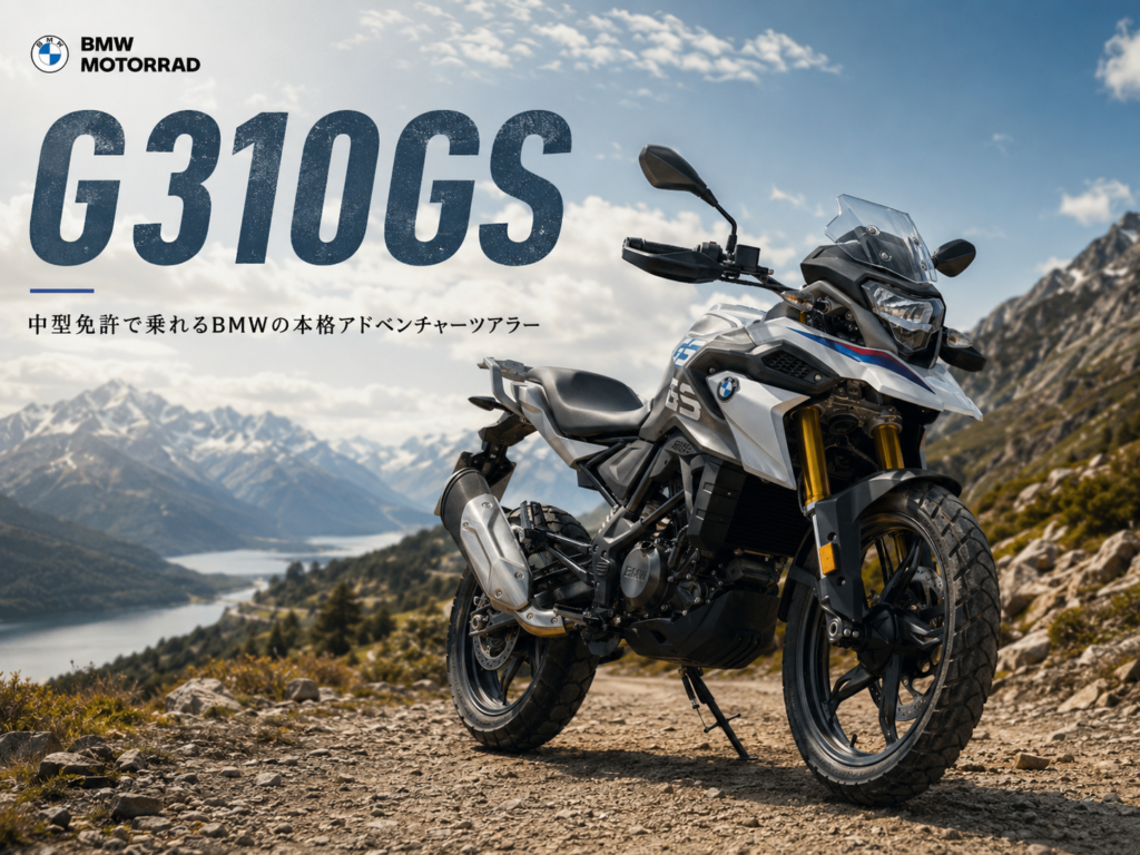 G310GS