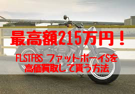 flstfbs,買取