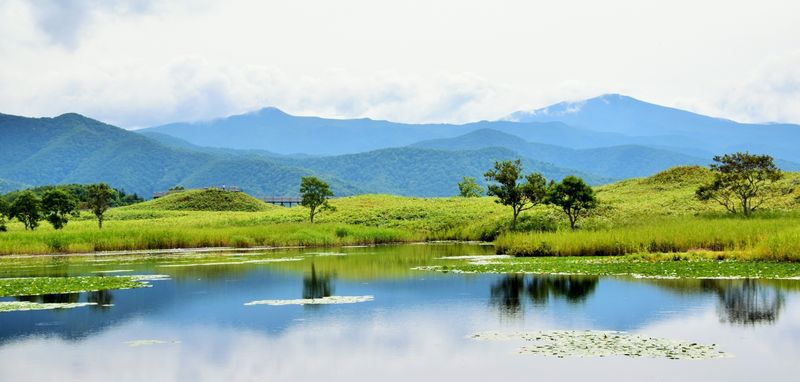 バイク,買取,売却,売る,北海道