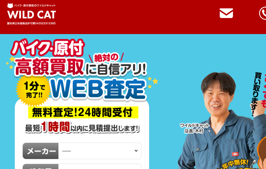 ワイルドキャット